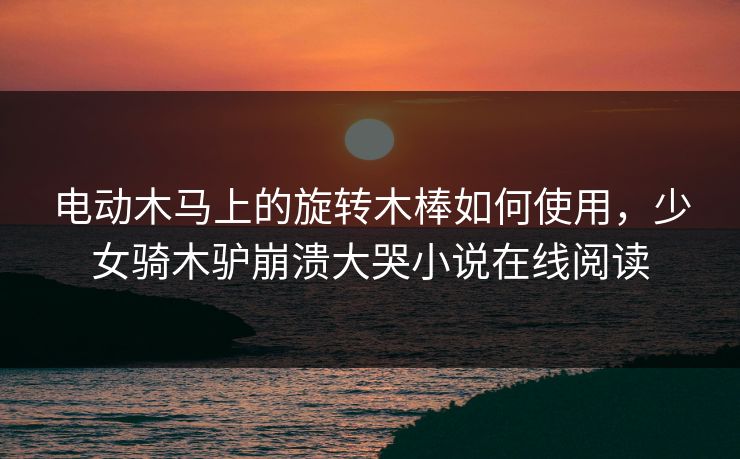 电动木马上的旋转木棒如何使用，少女骑木驴崩溃大哭小说在线阅读