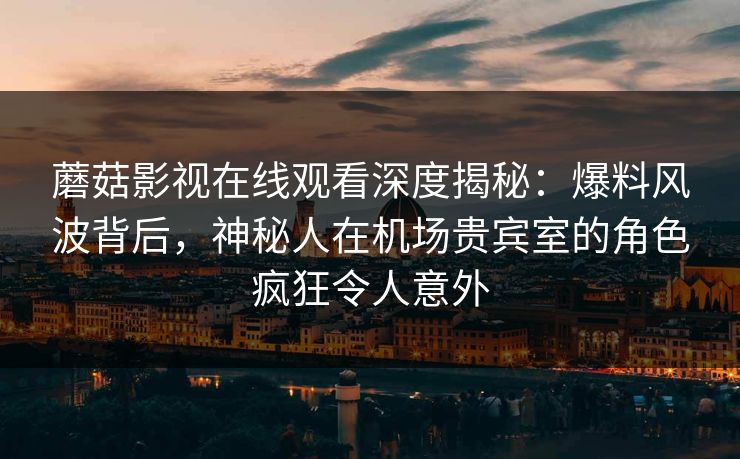 蘑菇影视在线观看深度揭秘:爆料风波背后,神秘人在机场贵宾室的角色疯狂令人意外 蘑菇影视在线观看深度揭秘:爆料风波背后,神秘人在机场贵宾室的角色疯狂令人意外