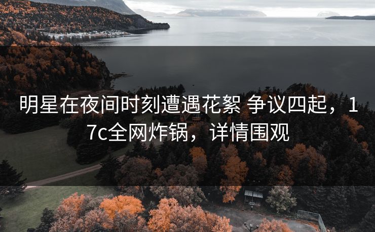 明星在夜间时刻遭遇花絮 争议四起，17c全网炸锅，详情围观