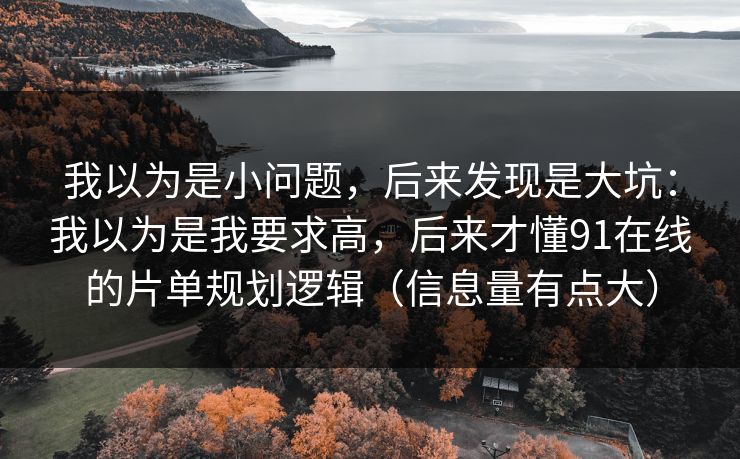我以为是小问题，后来发现是大坑：我以为是我要求高，后来才懂91在线的片单规划逻辑（信息量有点大）